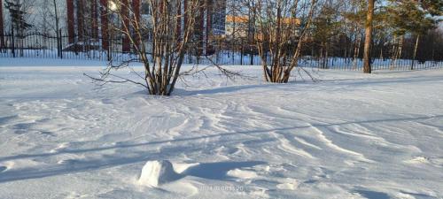 photo 2024-01-28 19-55-18