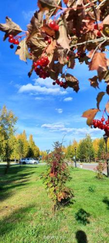 photo 2024-01-28 19-55-23