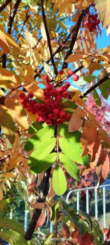 photo 2024-01-28 19-55-30