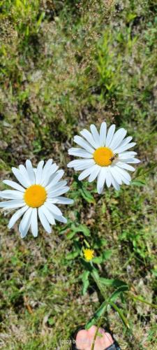 photo 2024-01-28 19-55-35