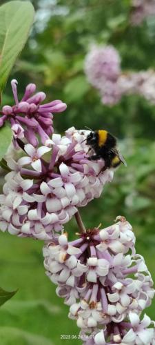 photo 2024-01-28 19-55-40