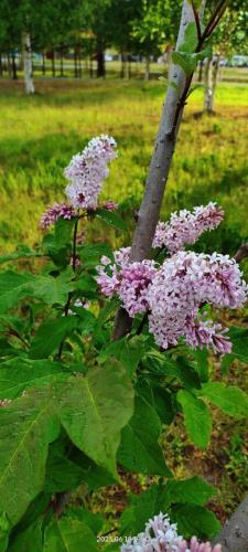 photo 2024-01-28 19-55-52