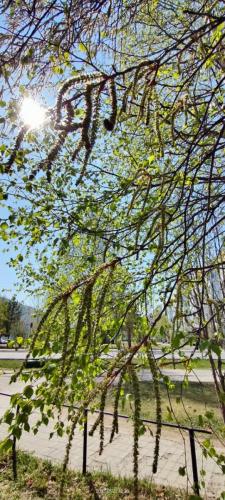 photo 2024-01-28 19-55-57