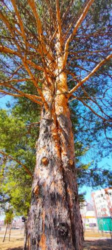 photo 2024-01-28 19-56-07