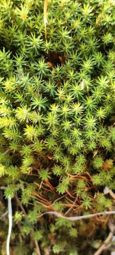 photo 2024-01-28 19-56-12