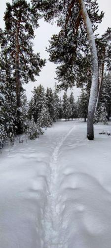 photo 2024-01-28 19-56-19